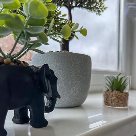 A Stylish Central Apartment In The Heart Of The City バーミンガム エクステリア 写真